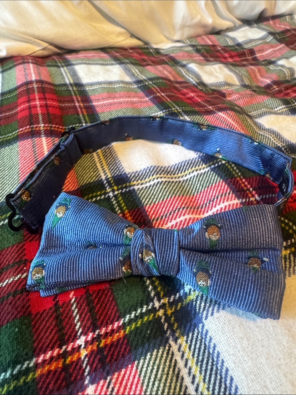 Crewcuts Boys Blue Bow Tie with Gnome Accents
